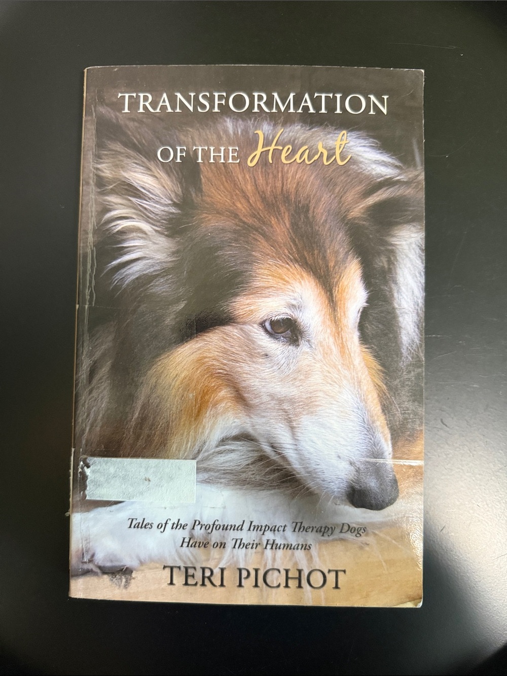 "Transformation of the Heart" - Paperback